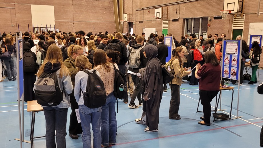 Enrichment fair